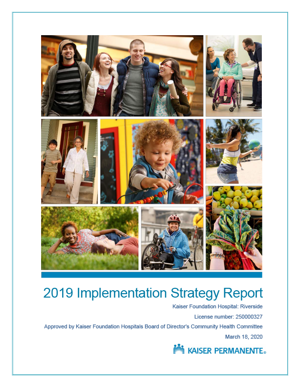 Implementation Strategy Report 2019