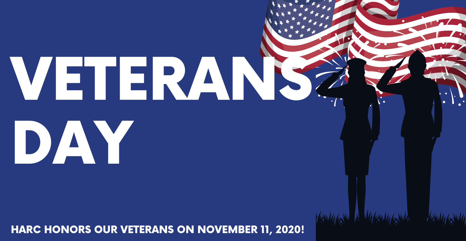 Decorative image for Veterans Day infographic
